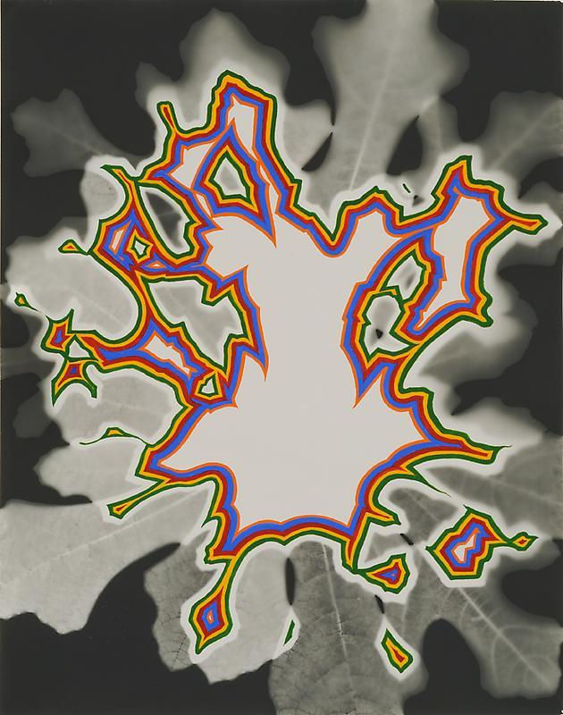 Image of FRED TOMASELLI's 弗雷德&bull;托马塞利 Bloom #3 花#3, 2011