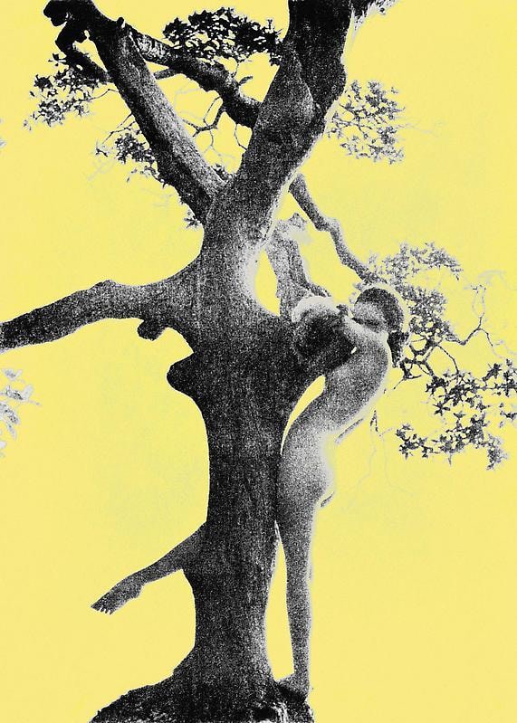 FRANK MAJORE Nudes 15, 2002