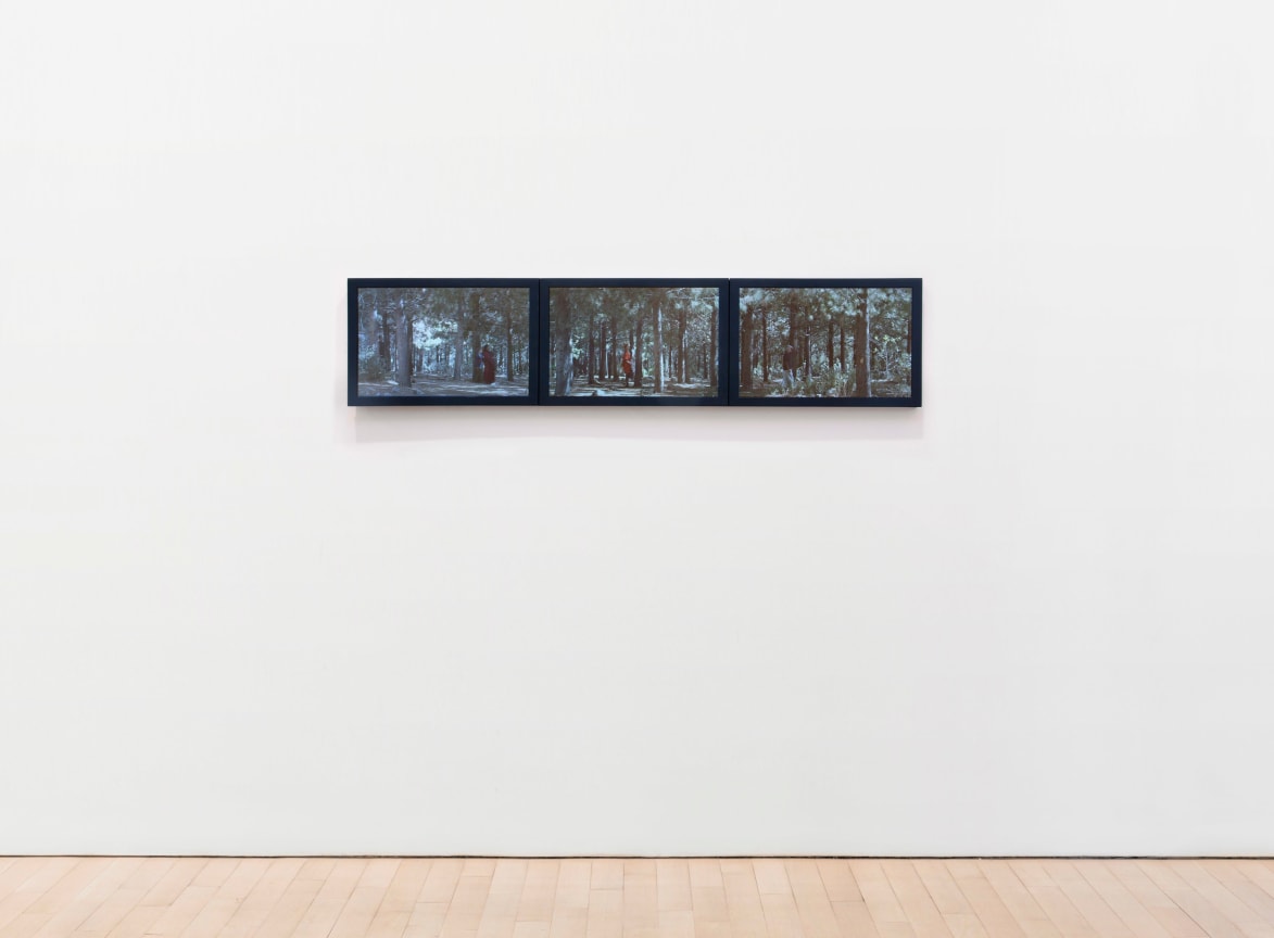 BILL VIOLA Study for the Path