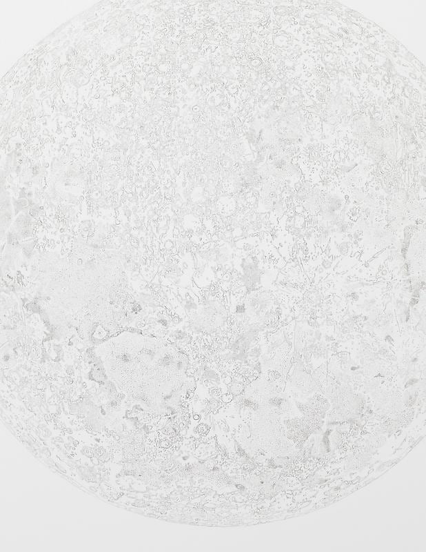 circular image on paper