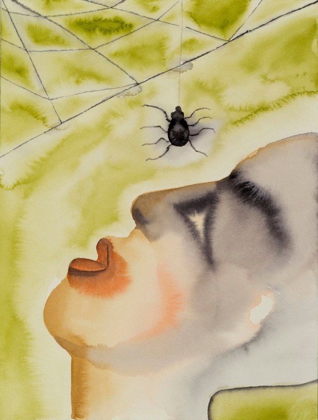 figure looking up at a spider coming down from its web