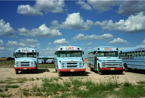 light blue school buses