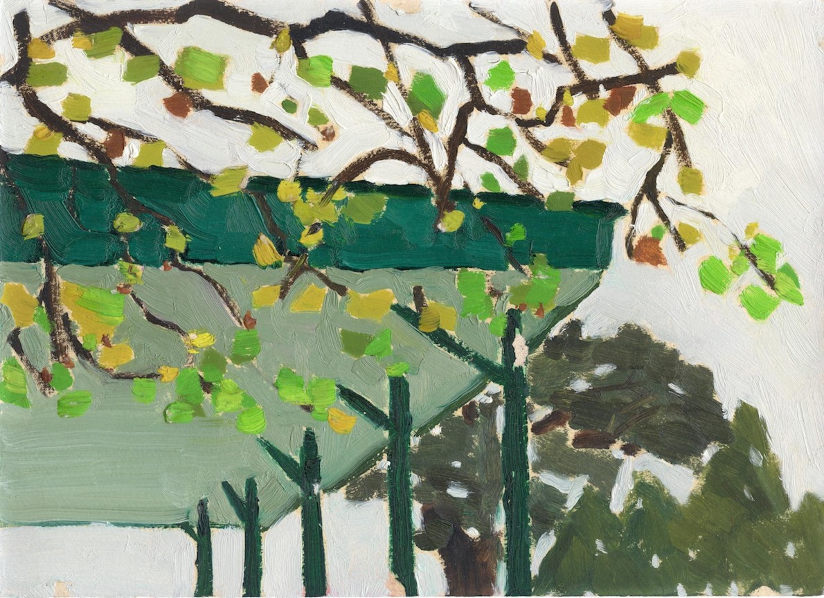 upward view of a green roof alongside green trees