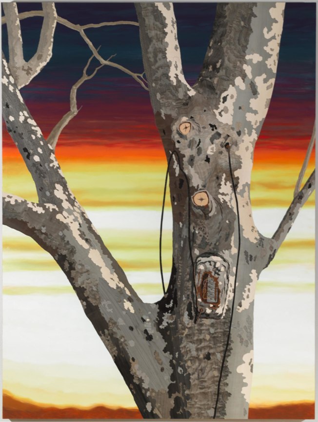 Image of ALISON ELIZABETH TAYLOR's Van Cortlandt,&nbsp;2013