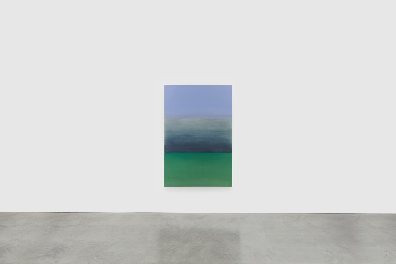 Image of BYRON KIM's B.Q.O. 21 (Triakis semifasciata), 2021