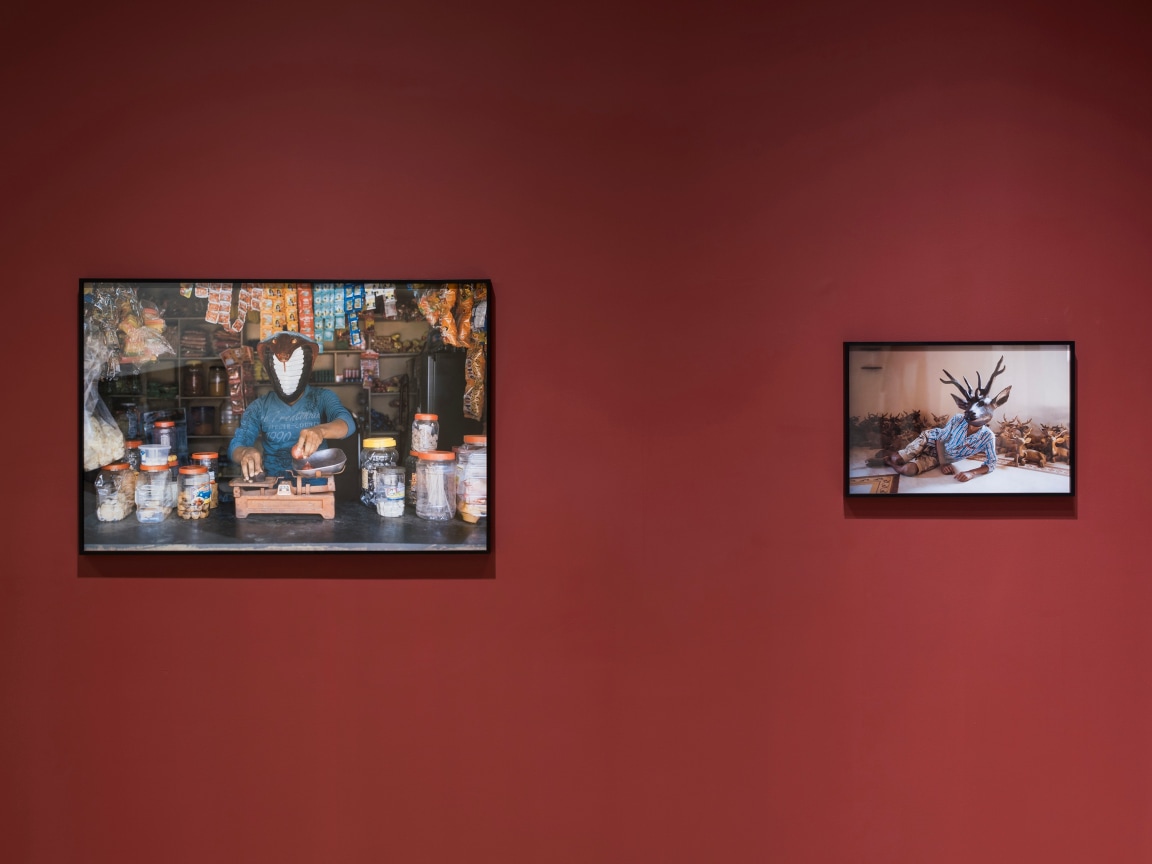 Installation view: Projects 108: Gauri Gill,