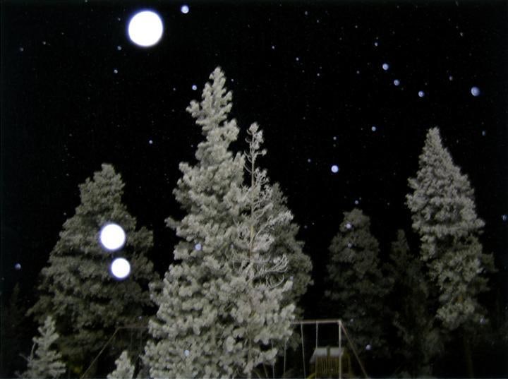 JESSICA BACKHAUS Snowtree (Waterworld series),2008