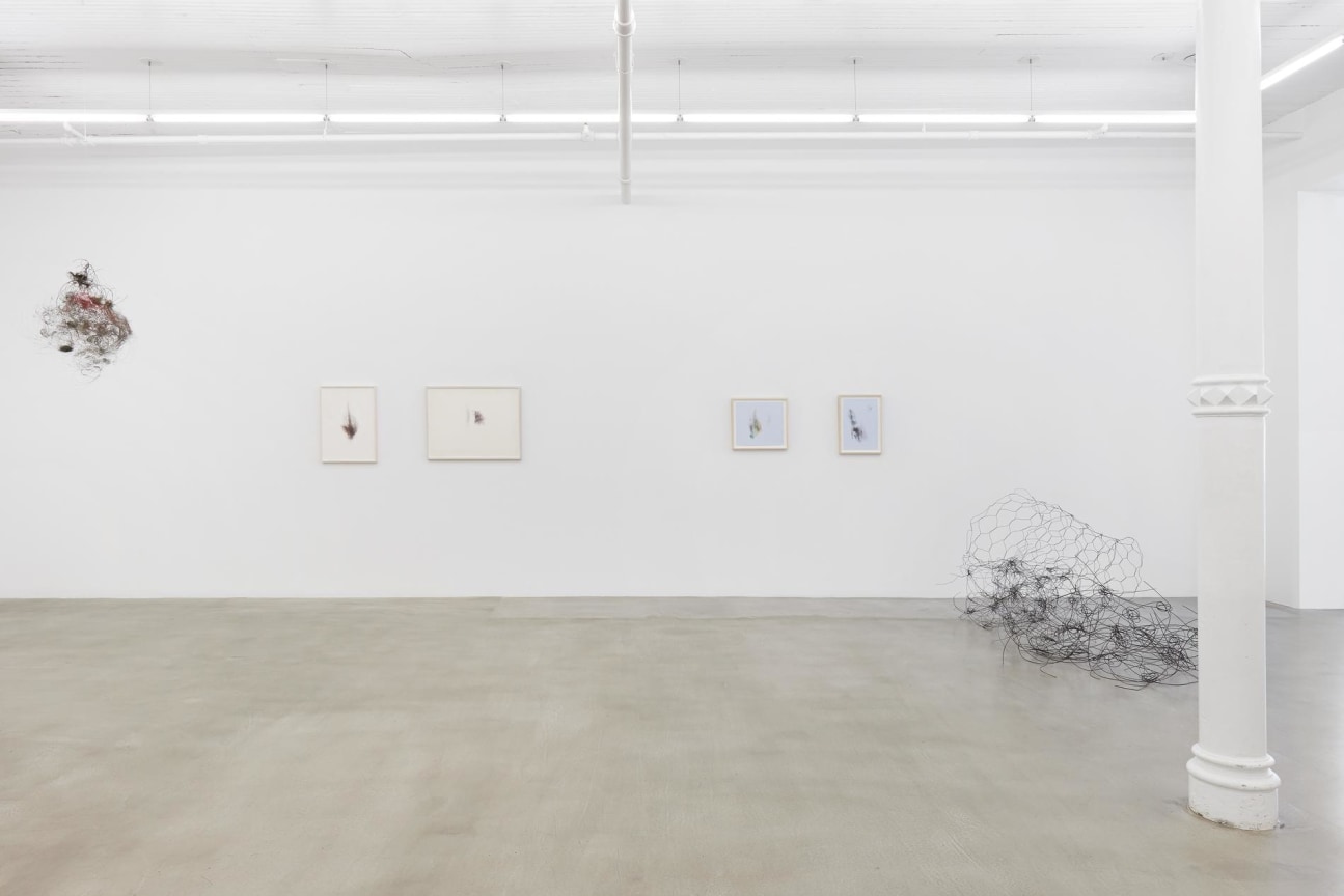 installation view of several artworks