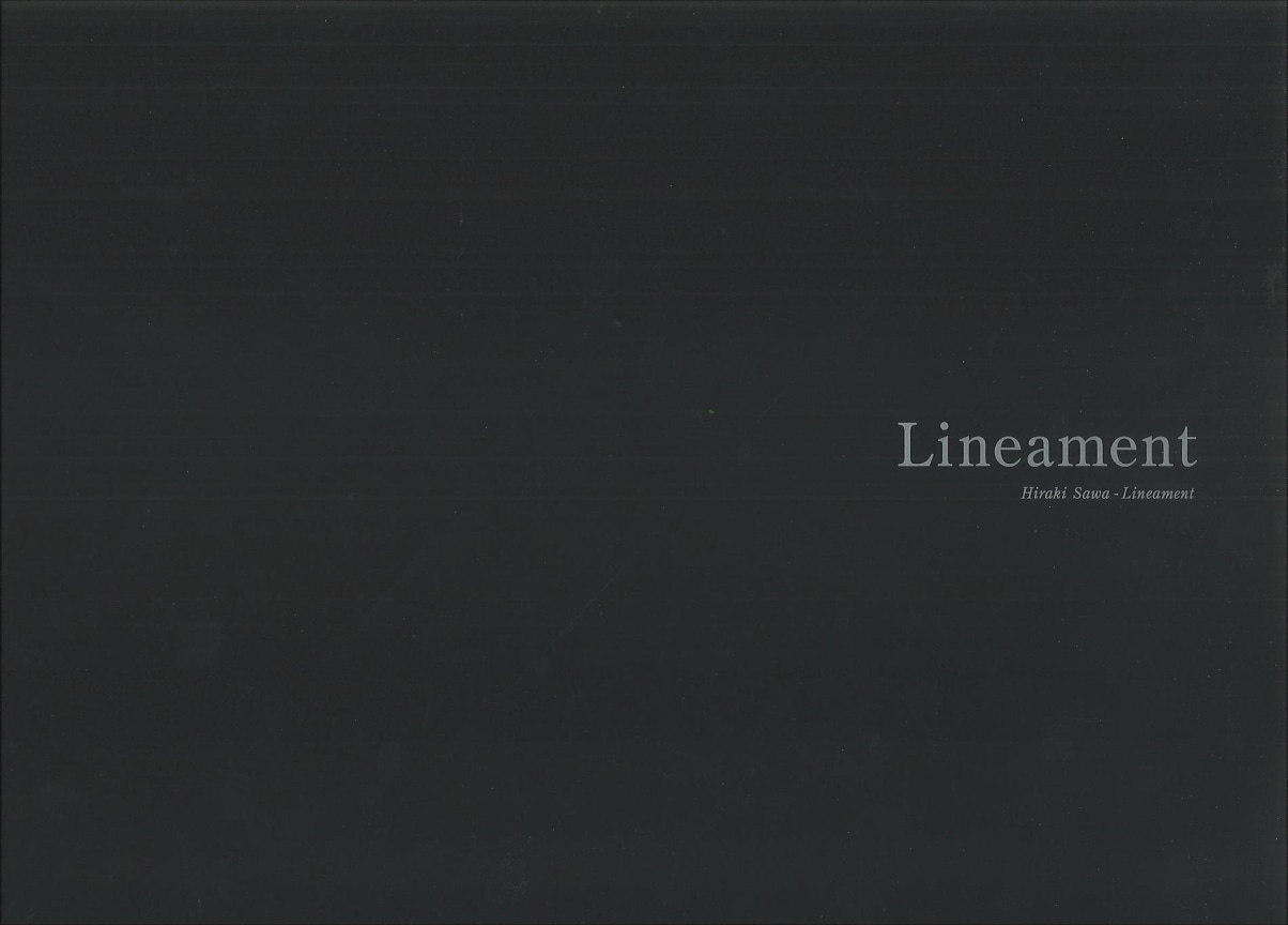 Hiraki Sawa: Lineament