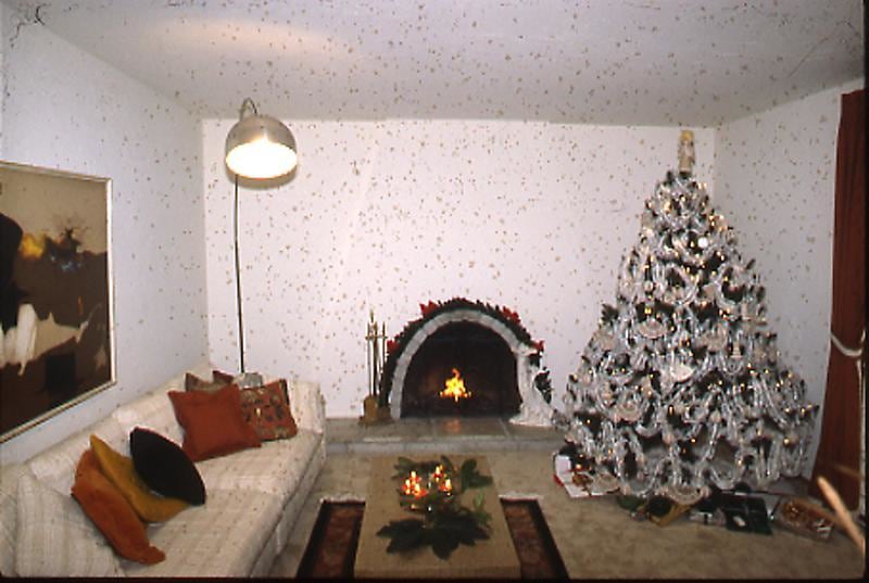 Image of BILL OWENS's Untitled 无题, 1975