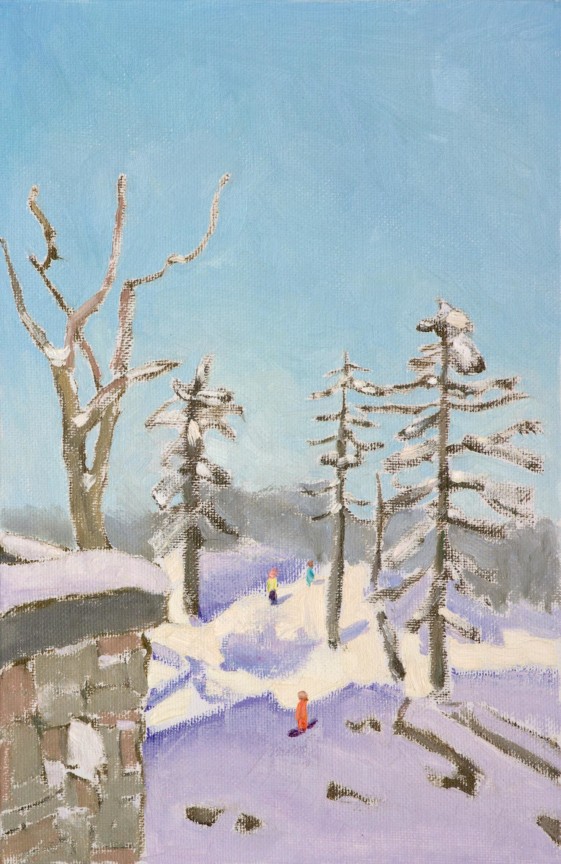 snowy landscape