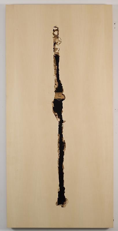 Image of ALISON ELIZABETH TAYLOR's Wires Ripped, 2009-10