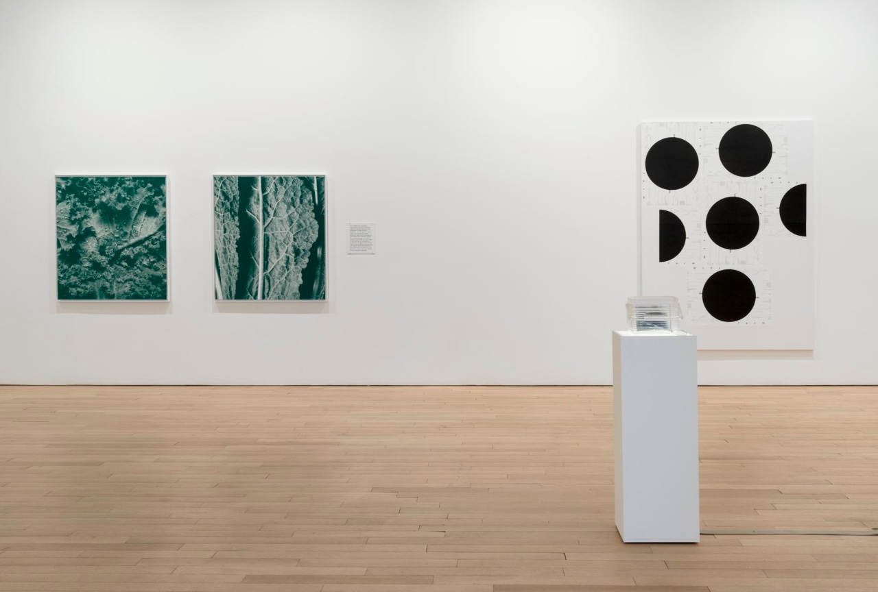 installation view of several artworks