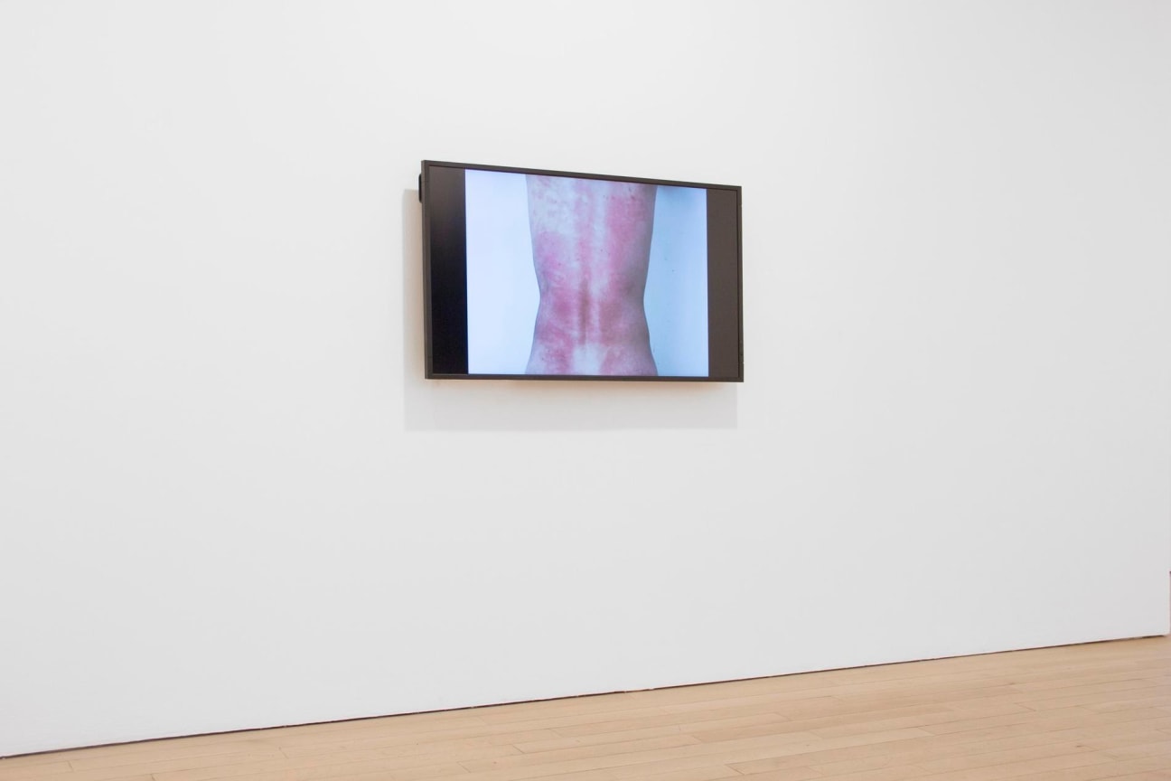 installation view of a video
