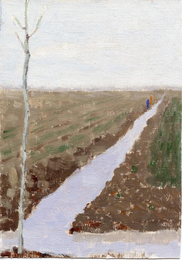 agricultural fields split by a water canal