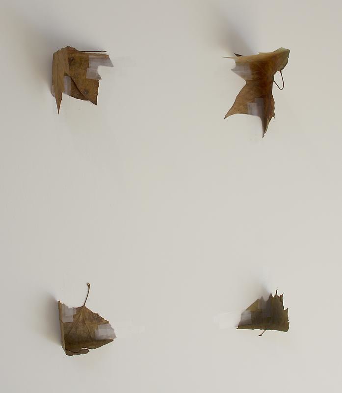 Image of WOLFGANG BREUER's Untitled 2009