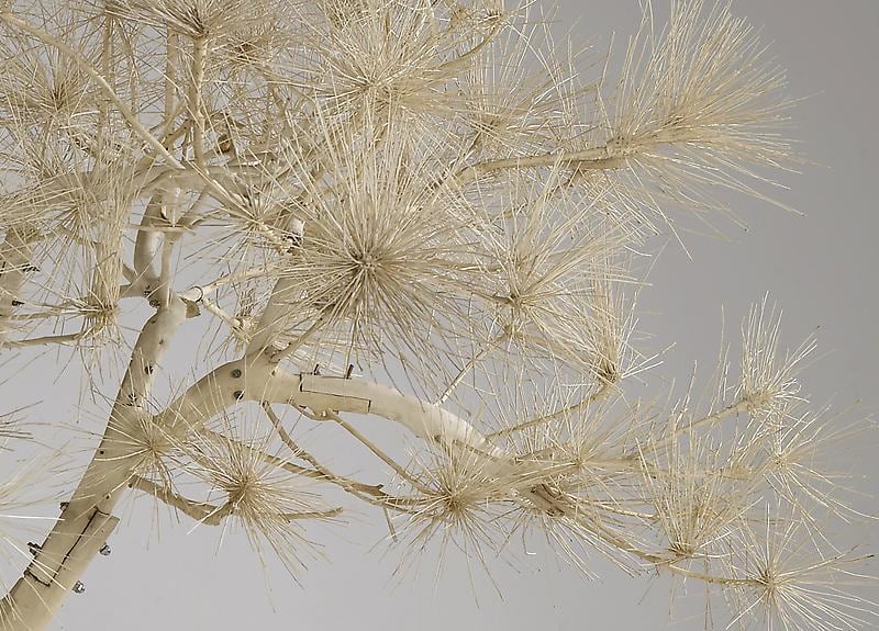 SHI JINSONG Short Pine Tree [detail], 2007