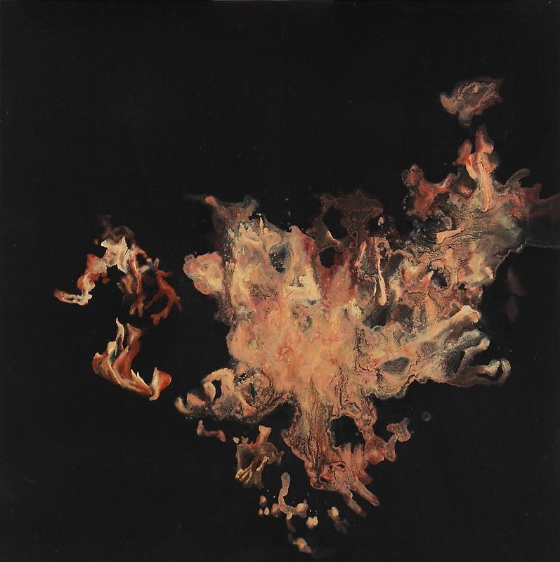 Image of GUO HONGWEI's 郭鸿蔚 The Dark Side&mdash;Fire #4 暗面&mdash;&mdash;火 #4, 2010