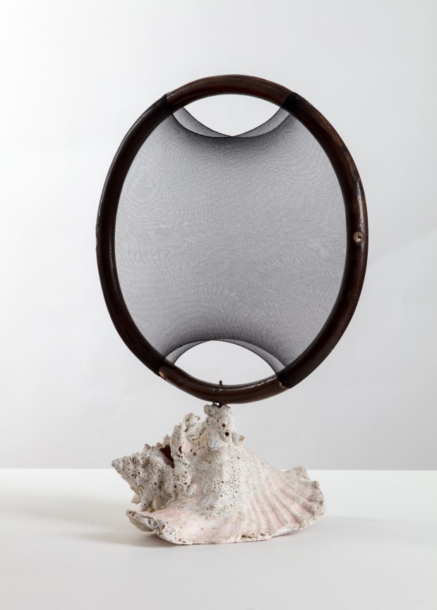 Image of ALEXANDRE DA CUNHA's Ikebana XIV, 2018