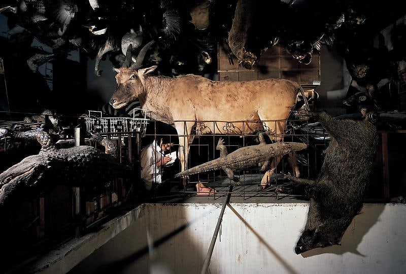 Image of CHEN WEI's Records Hypnosis, 2007