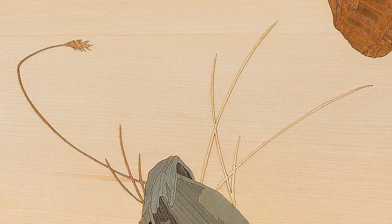 Detail of ALISON ELIZABETH TAYLOR's Into the Wild, 2012