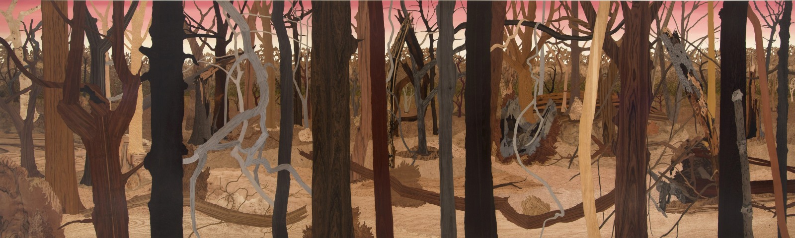 landscape of a dead forest