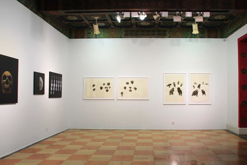 installation view of several artworks