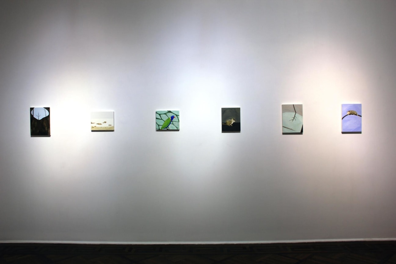 installation view of several artworks