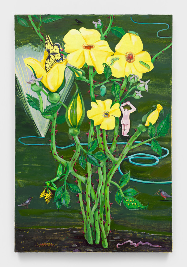 Image of NIKKI MALOOF's Life Cycle, 2023