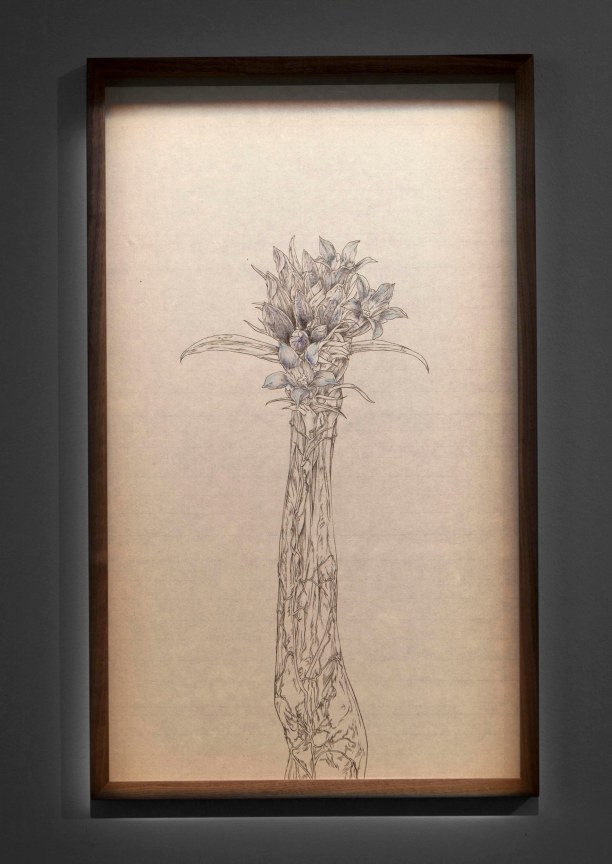 image of Tabaimo's Flow-wer, 2014