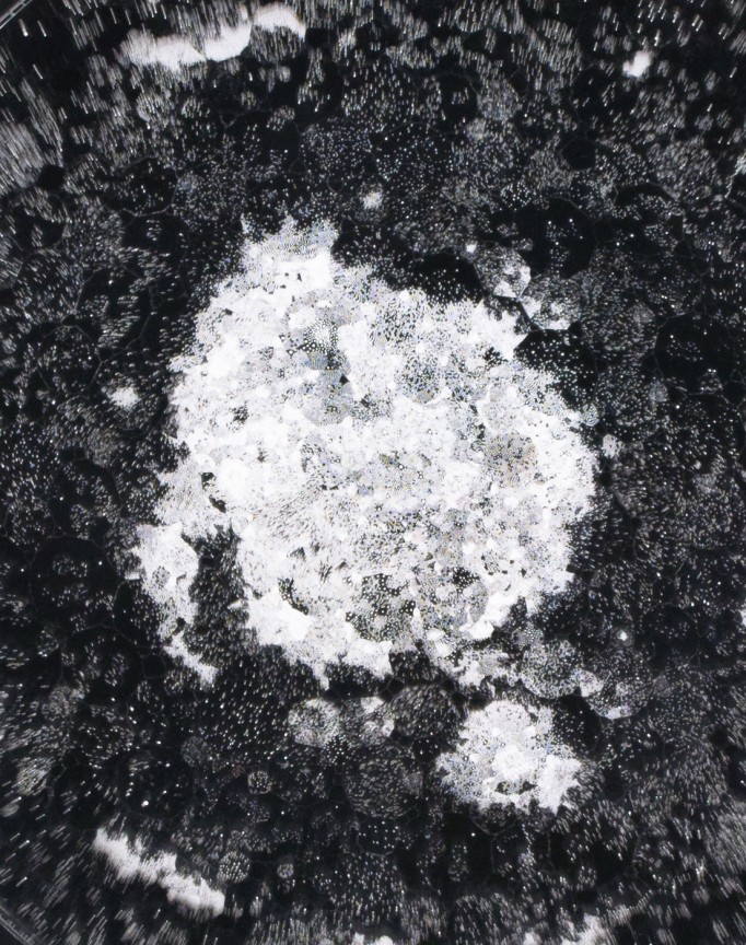 Detail of JOSIAH MCELHENY's Observation Night Five, 2019