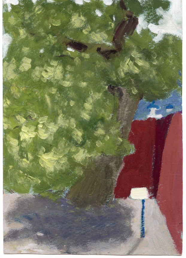 bushy tree next to a red wall