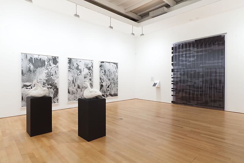 Installation view of several artworks