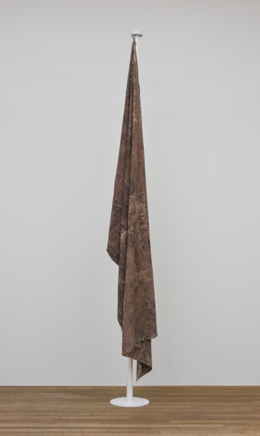 image of teresa margolles' Bandera I (Flag I), 2009