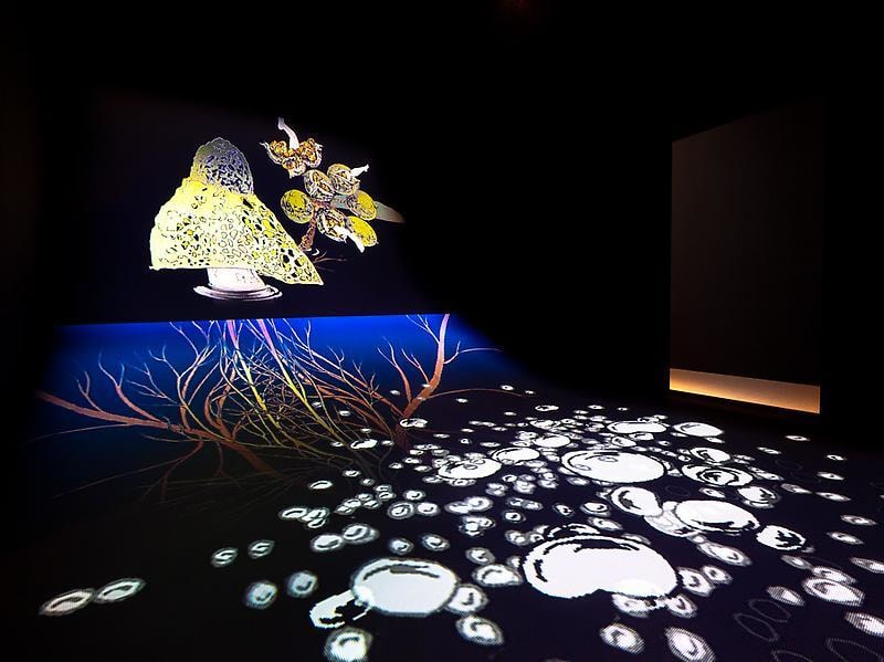 curved room with video projection on the floor and wall