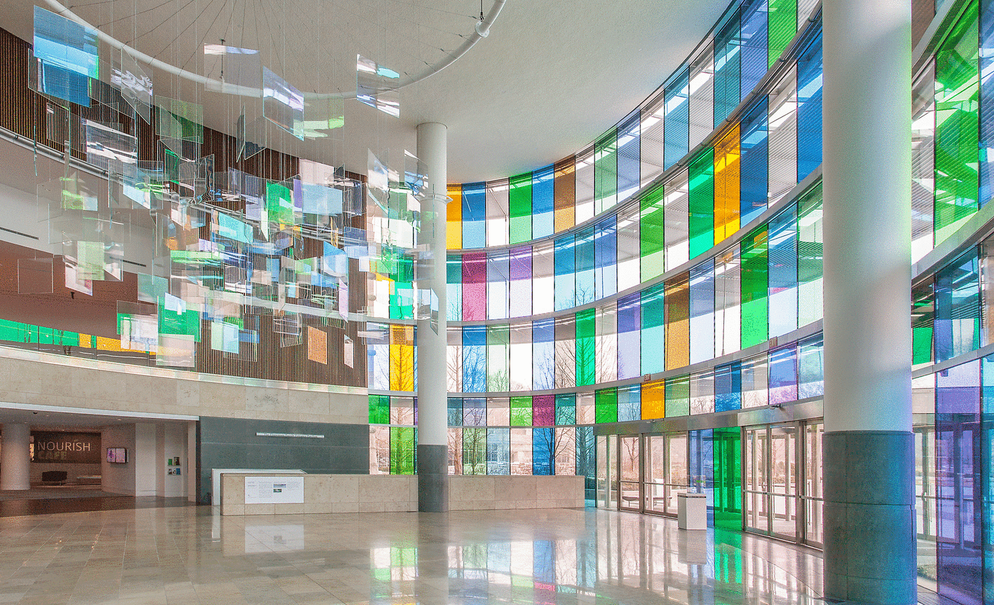 Installation View: Spencer Finch, Following Nature