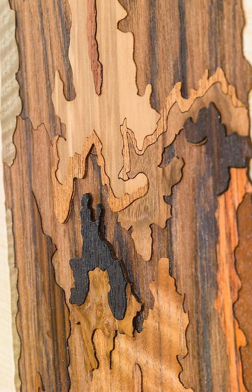 Detail of ALISON ELIZABETH TAYLOR's Into the Wild, 2012