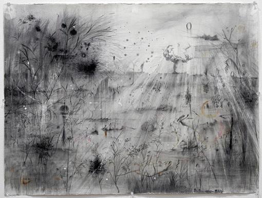 Image of MANFREDI BENINATI's Untitled, 2007