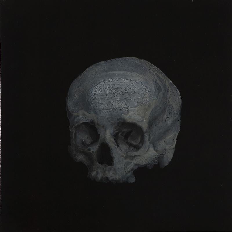 skull in the shadows