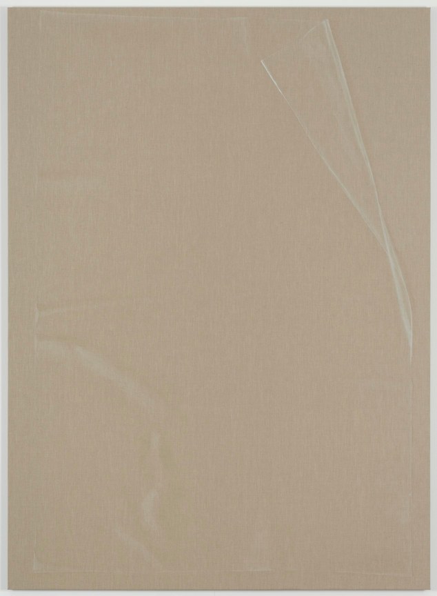 realistic painting of a plastic sheet covering the linen surface