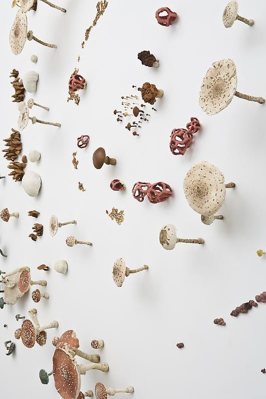 Image of ROXY PAINE's Oscillation, 2010