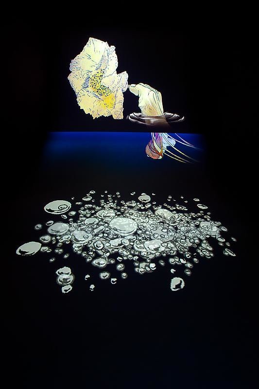 video projection on the floor and wall