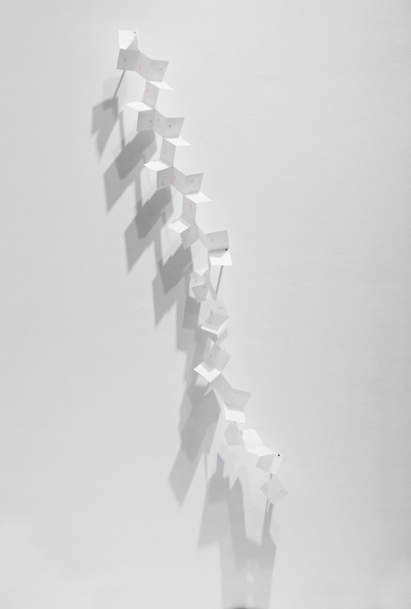 image of Spencer Finch's Falling Cherry Blossom (16), 2019