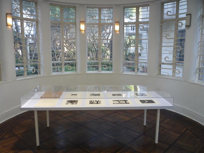 Installation view of glass case
