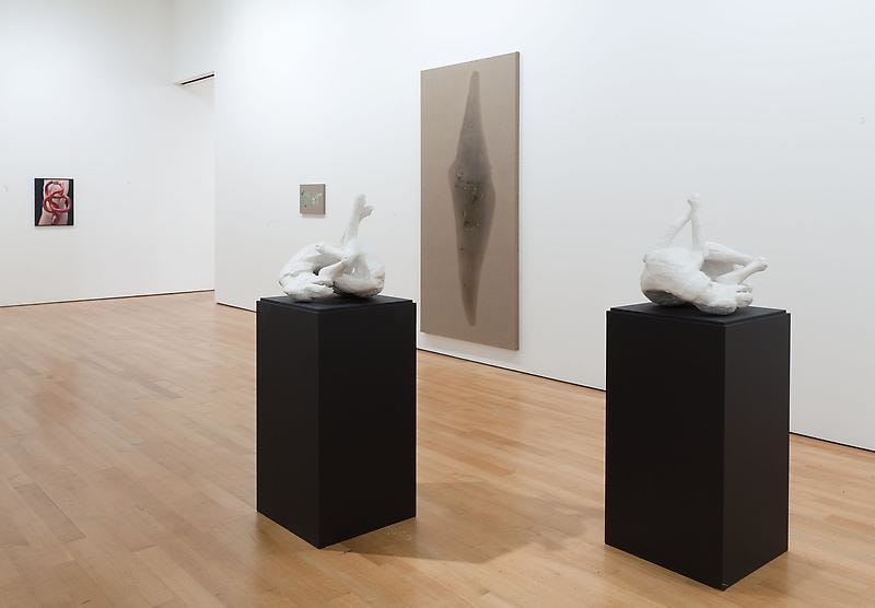 Installation view of several artworks