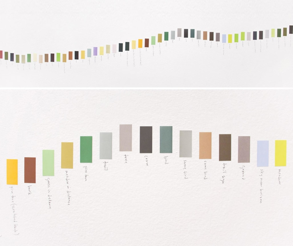 labeled color swatches