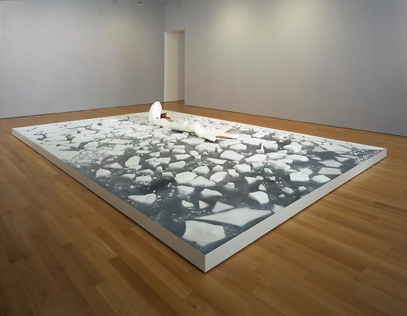 marine animal laying on melting ice in the arctic