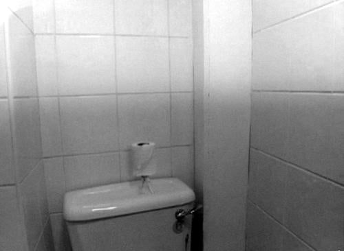 toilet paper roll with legs walking on top of a toilet