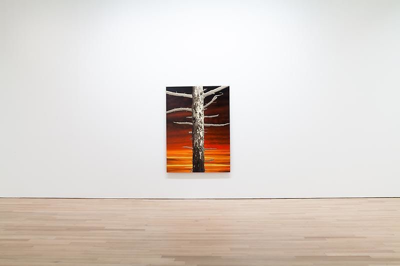 installation view of one artwork