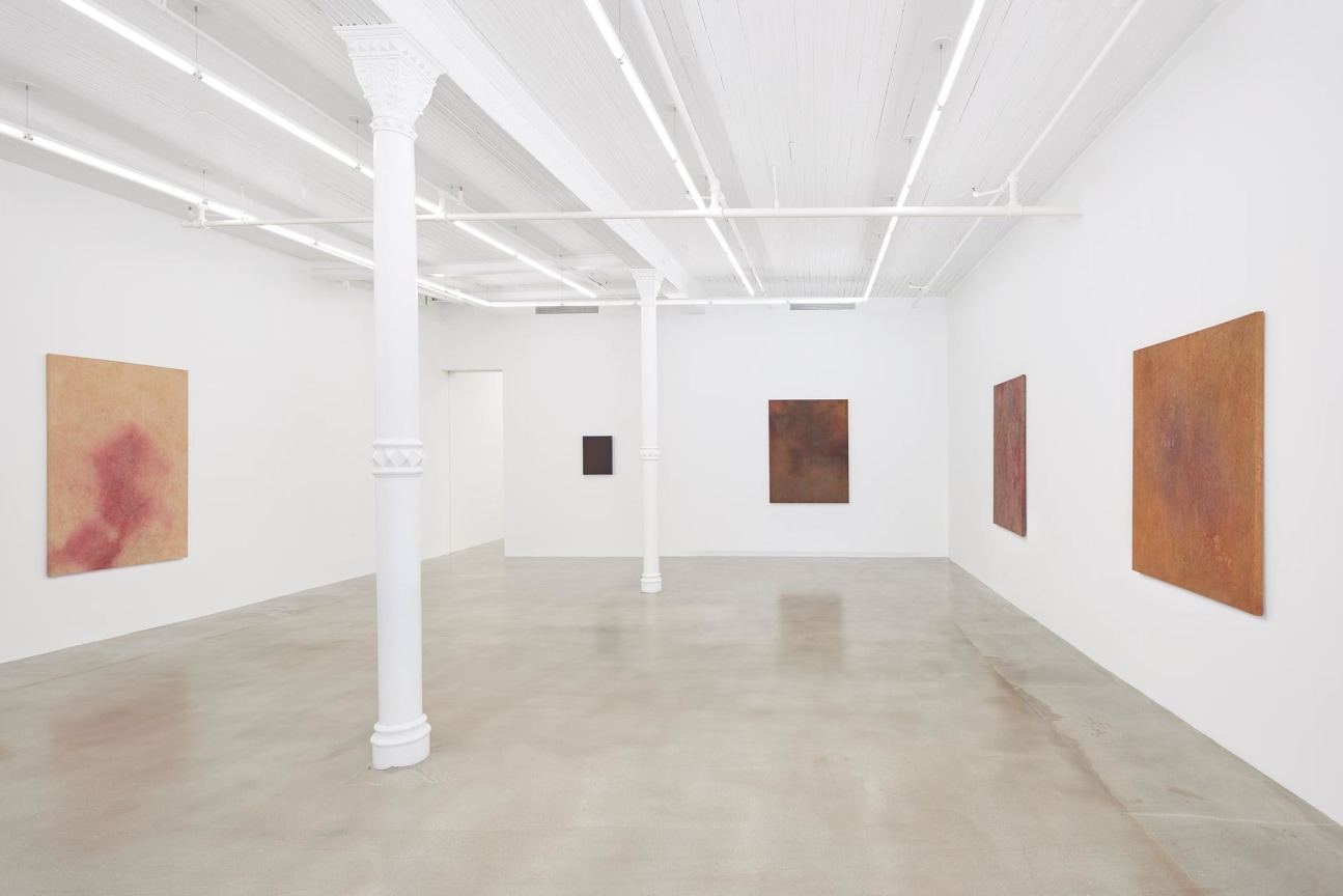 installation view of several artworks